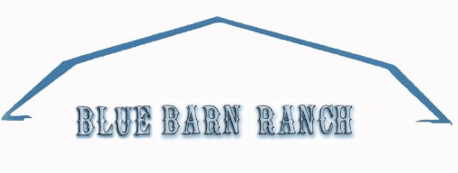 A blue barn ranch logo with the words " blue barn ranch ".