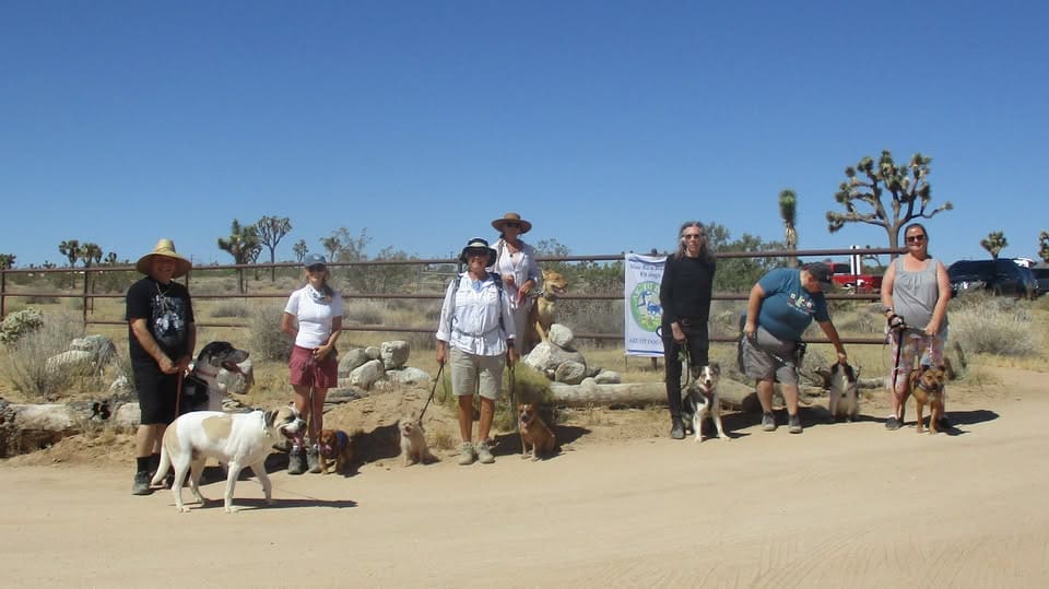 A group of people standing on the side of a road.